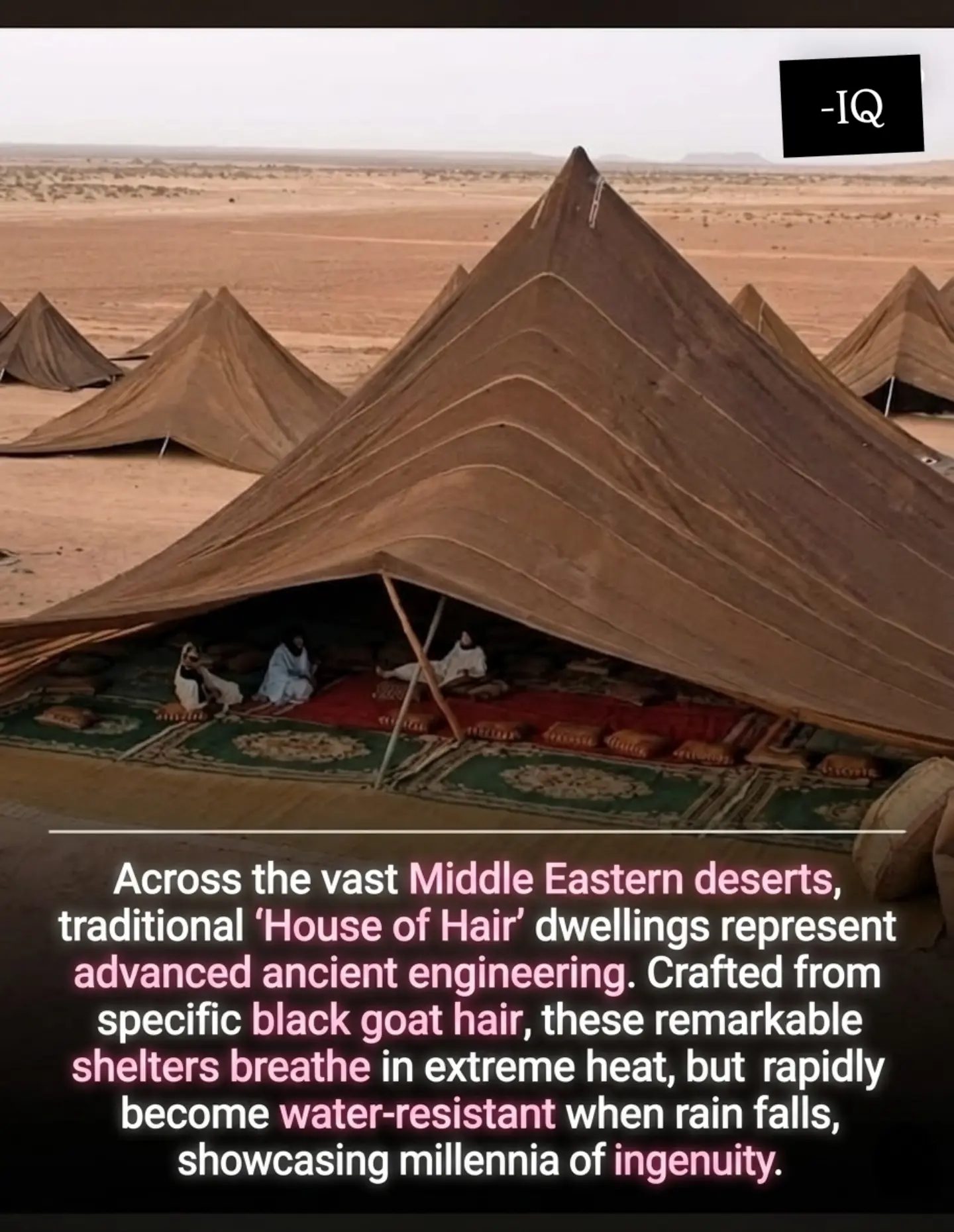 How the "House of Hair" Provides Natural Cooling in Desert Heat.
