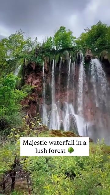 Majestic Waterfalls: A Backpacker's Paradise in Lush Forests