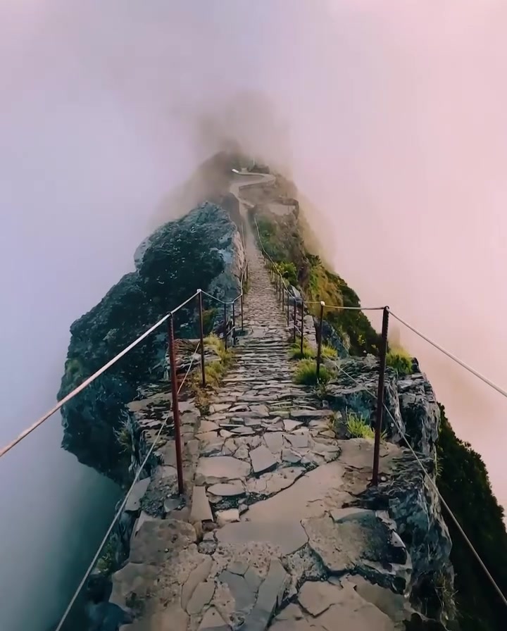 Mountain Path in Fog: Mysterious Ascent
