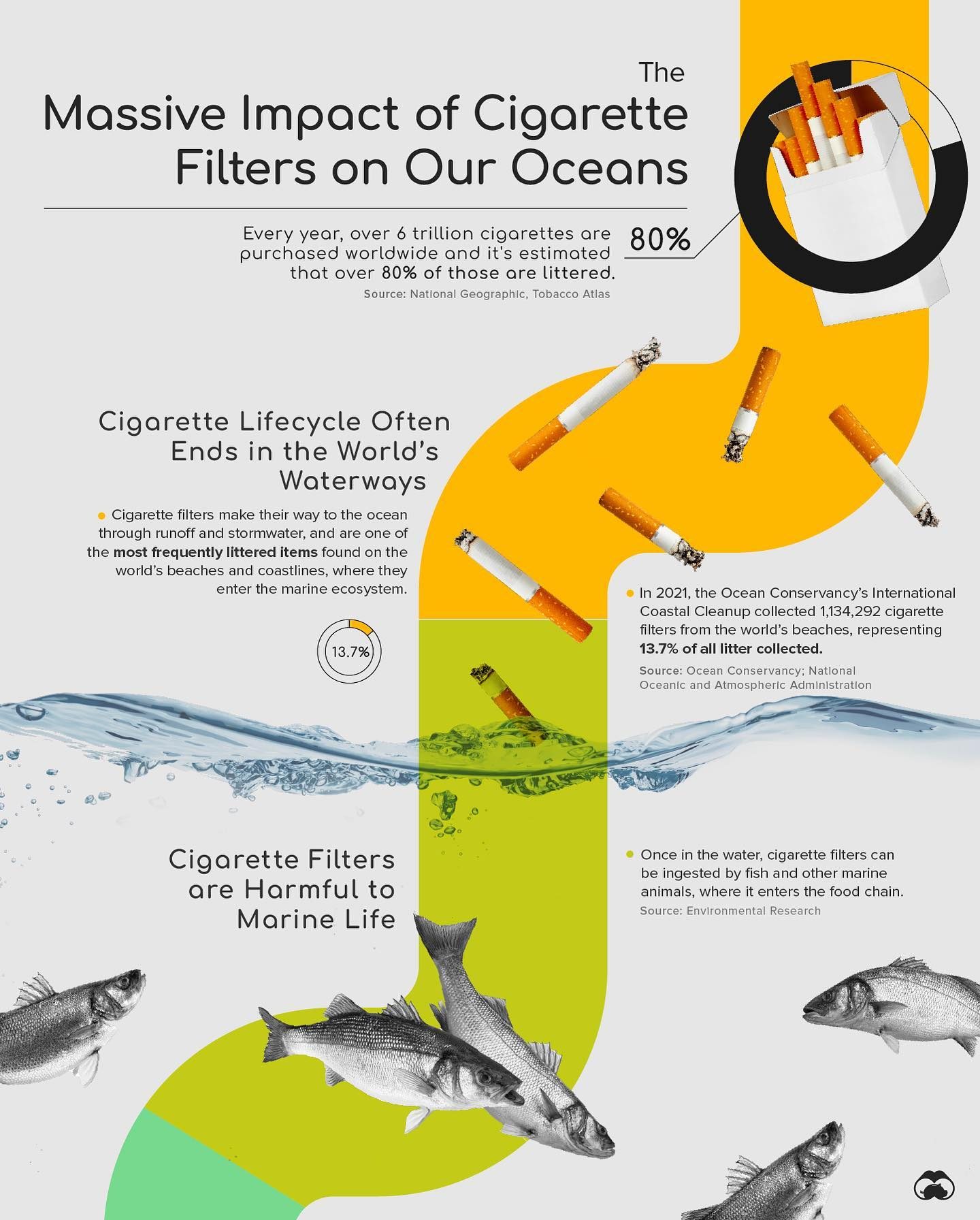 Cigarette Filters: A Major Source of Ocean Plastic Pollution