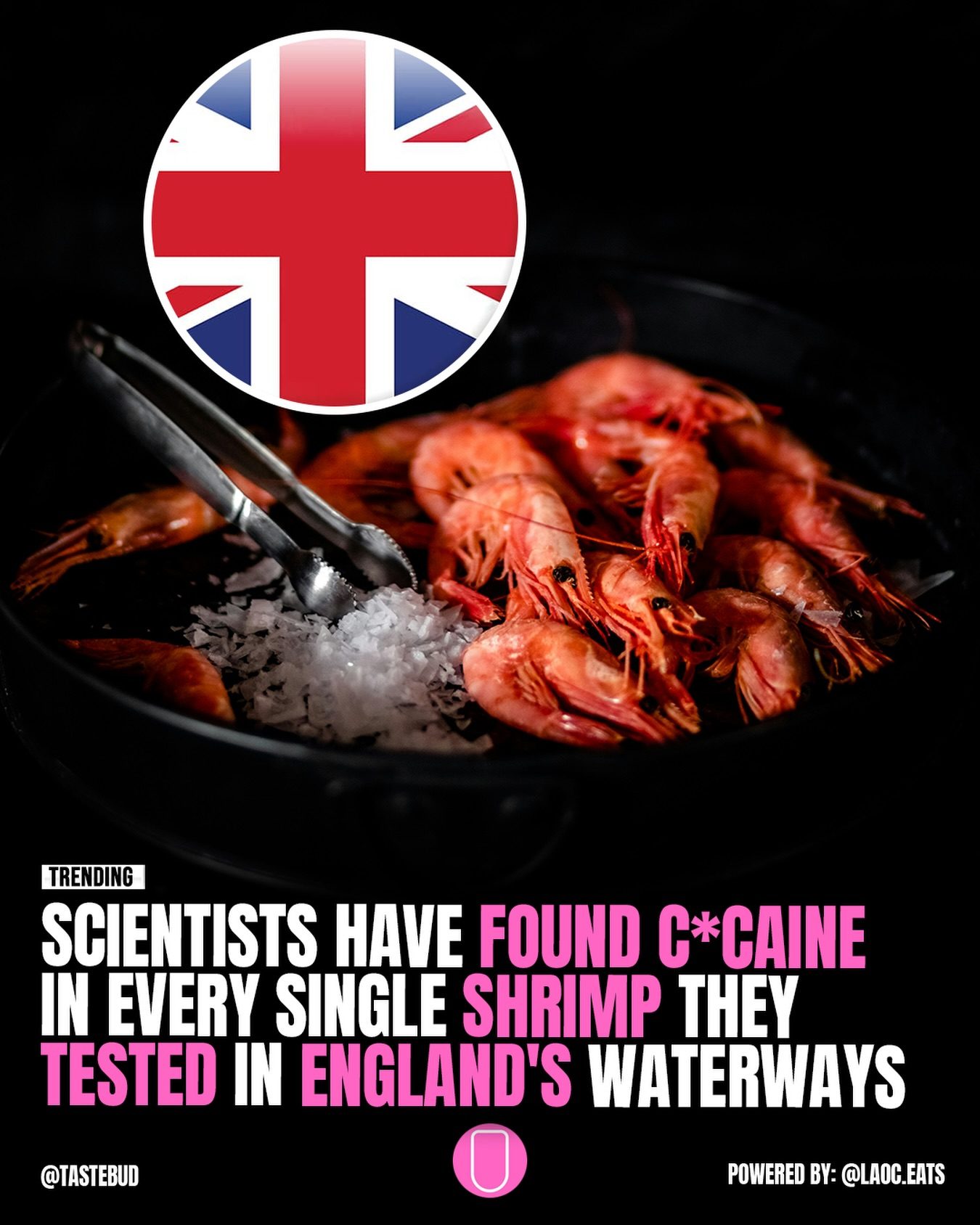 Shrimp in Suffolk Rivers Test Positive for Drugs and Pollutants