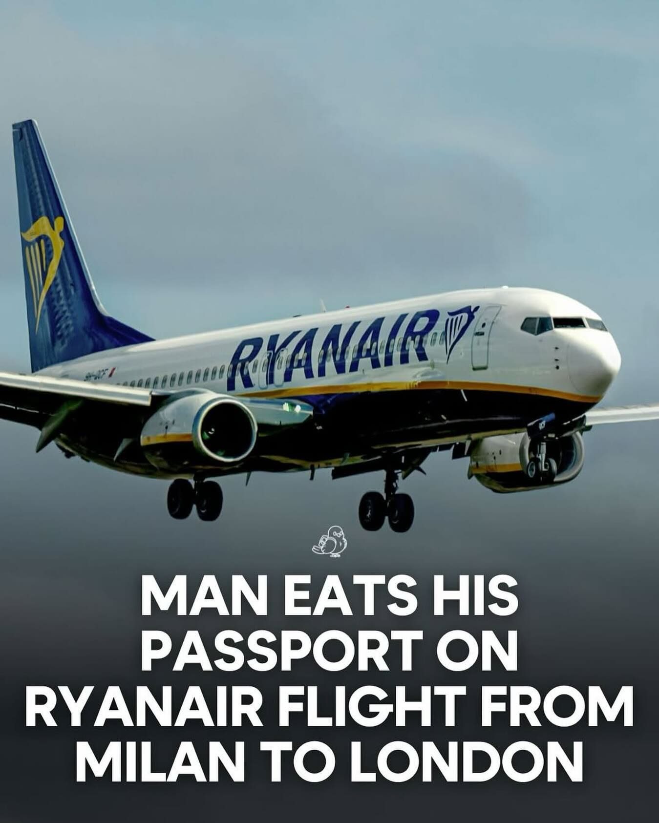 Ryanair Flight Chaos: Passengers' Erratic Behavior Forces Diversion