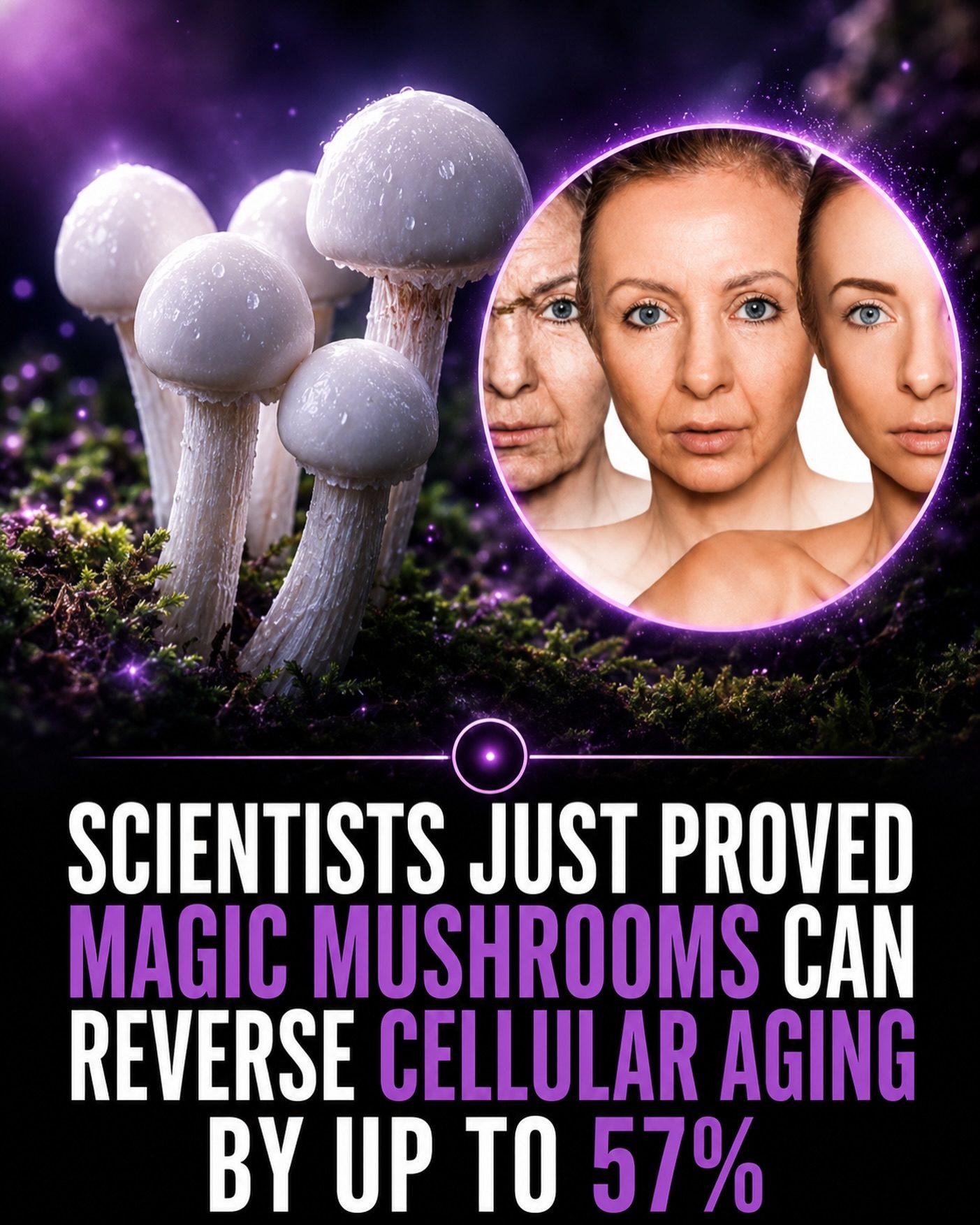 Magic Mushrooms: New Anti-Aging Discovery