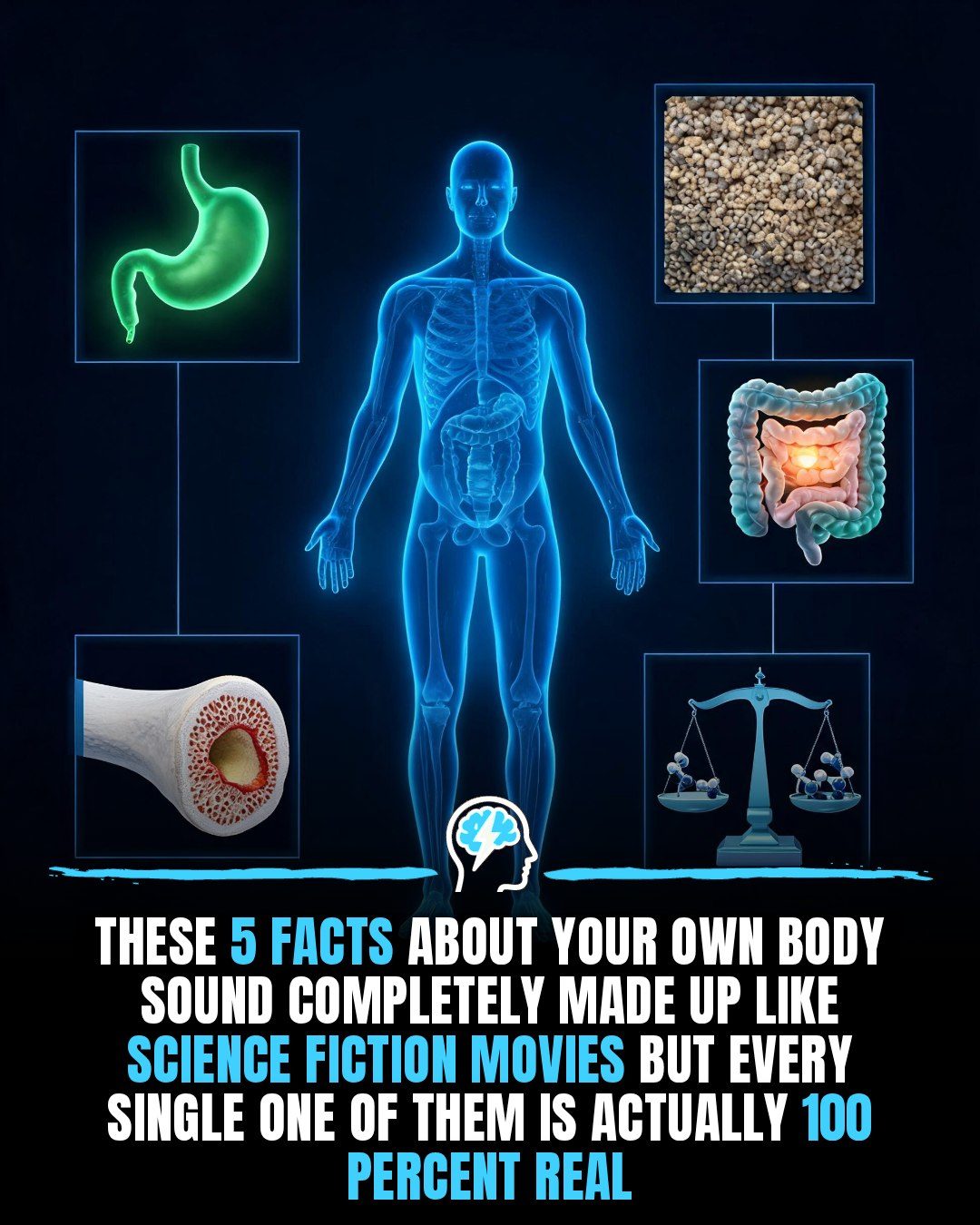 The Human Body's Mind-Blowing Facts