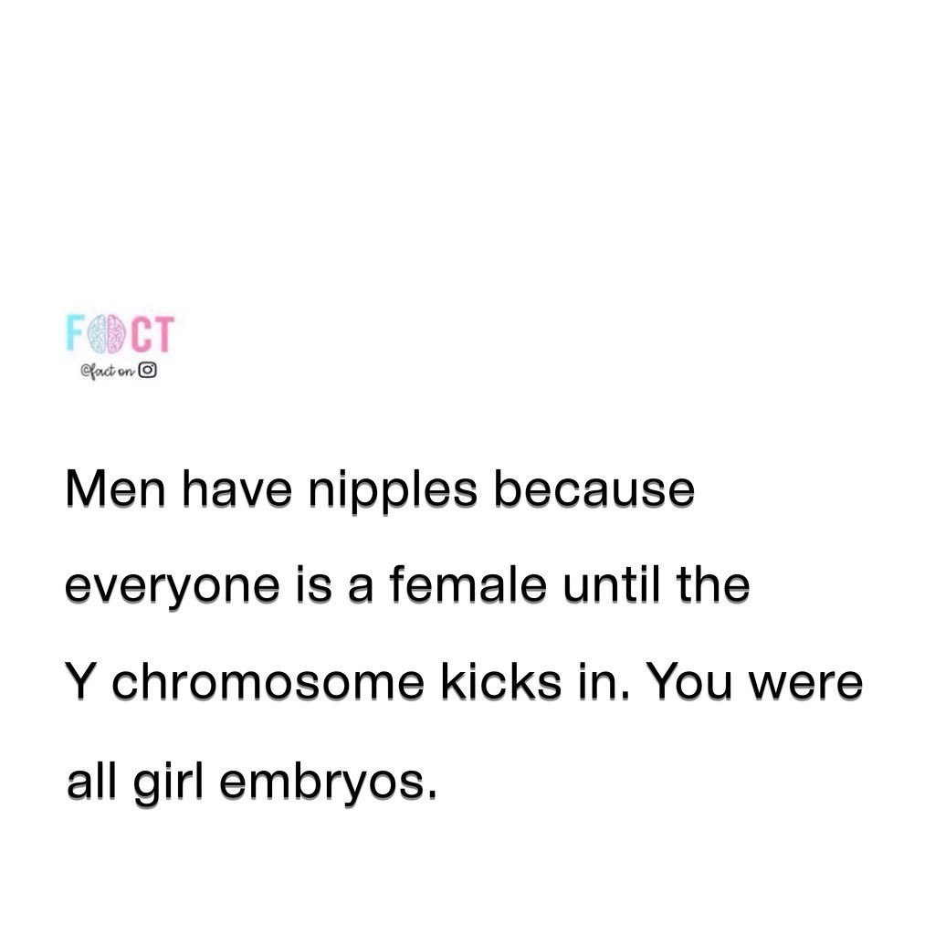 Why Men Have Nipples: The Science Behind It