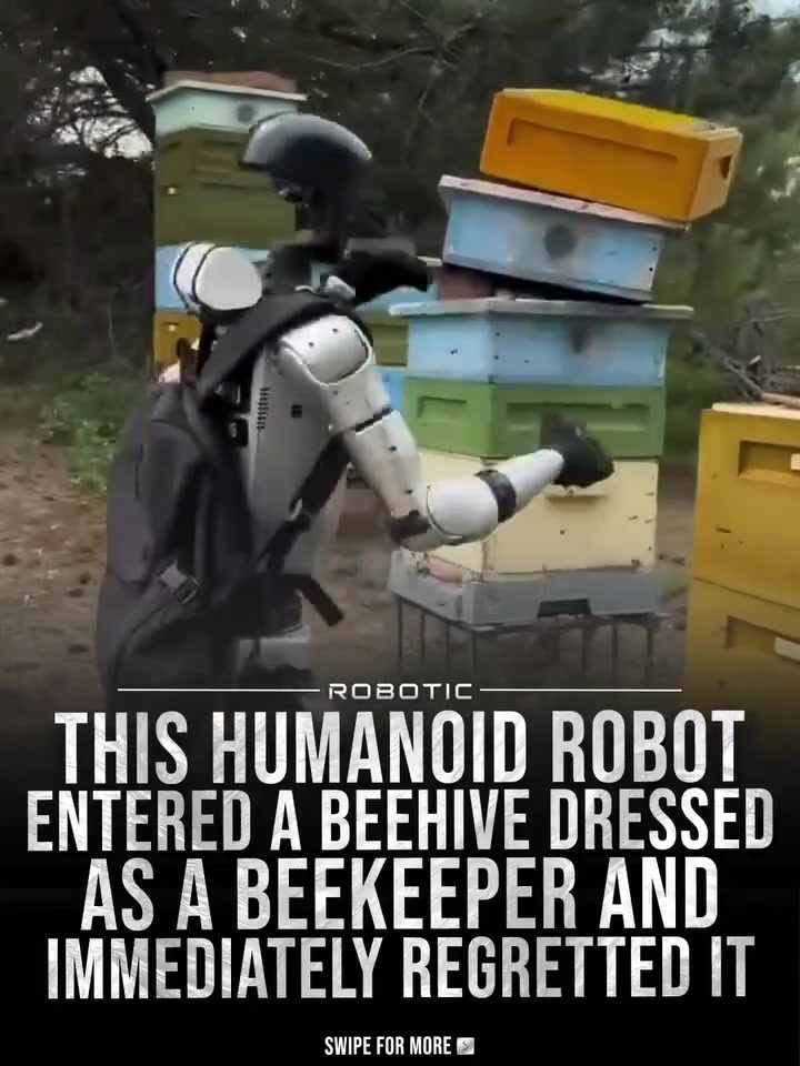Robotic Beekeeper Attempt: Lessons from Robot Edward