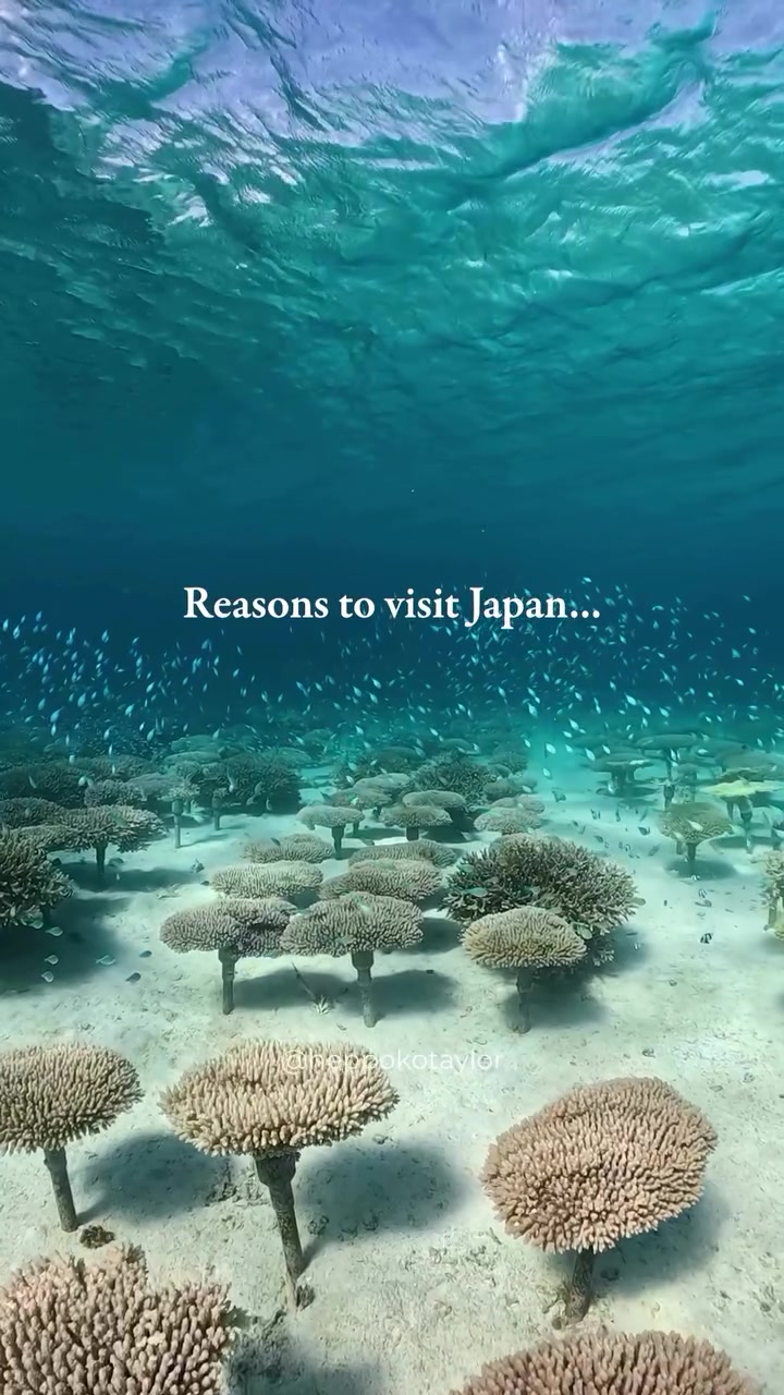 Japan's Miyako-jima Island: A Tropical Paradise