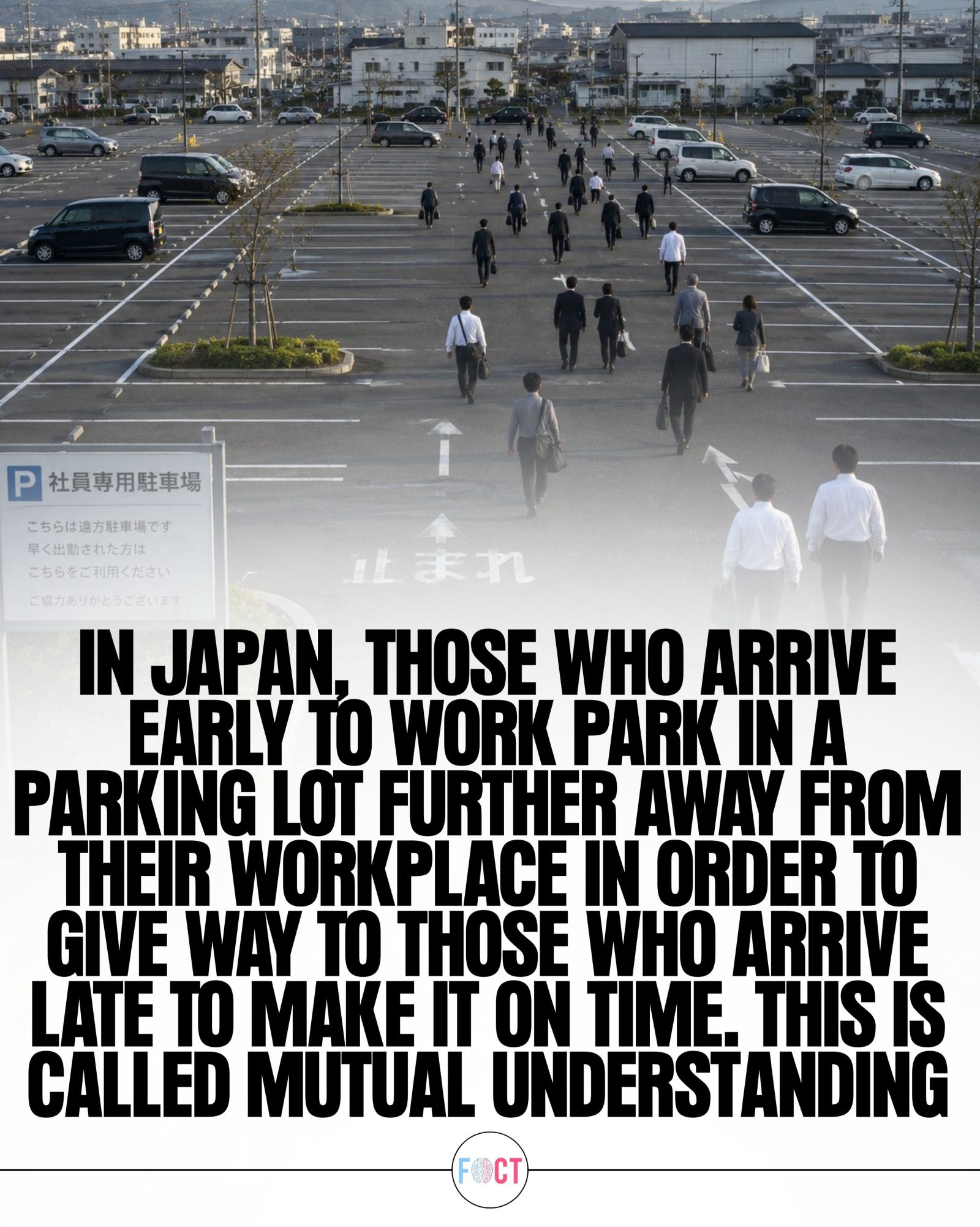 Japanese Work Culture: The Surprising Parking Etiquette