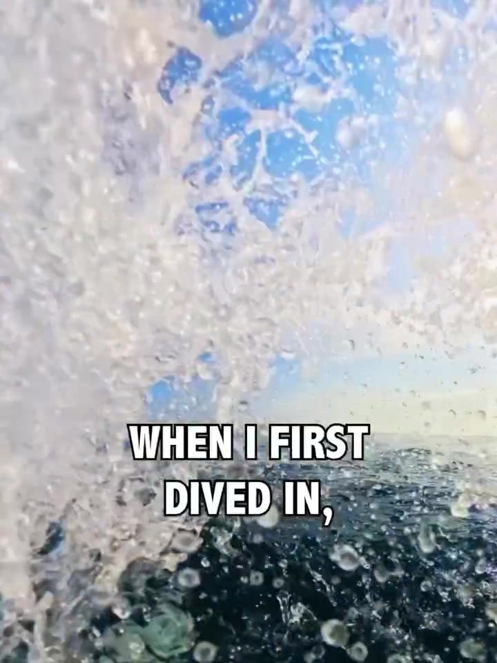 Diving into Jeddah's Resilient Coral Reefs: A Marine Marvel