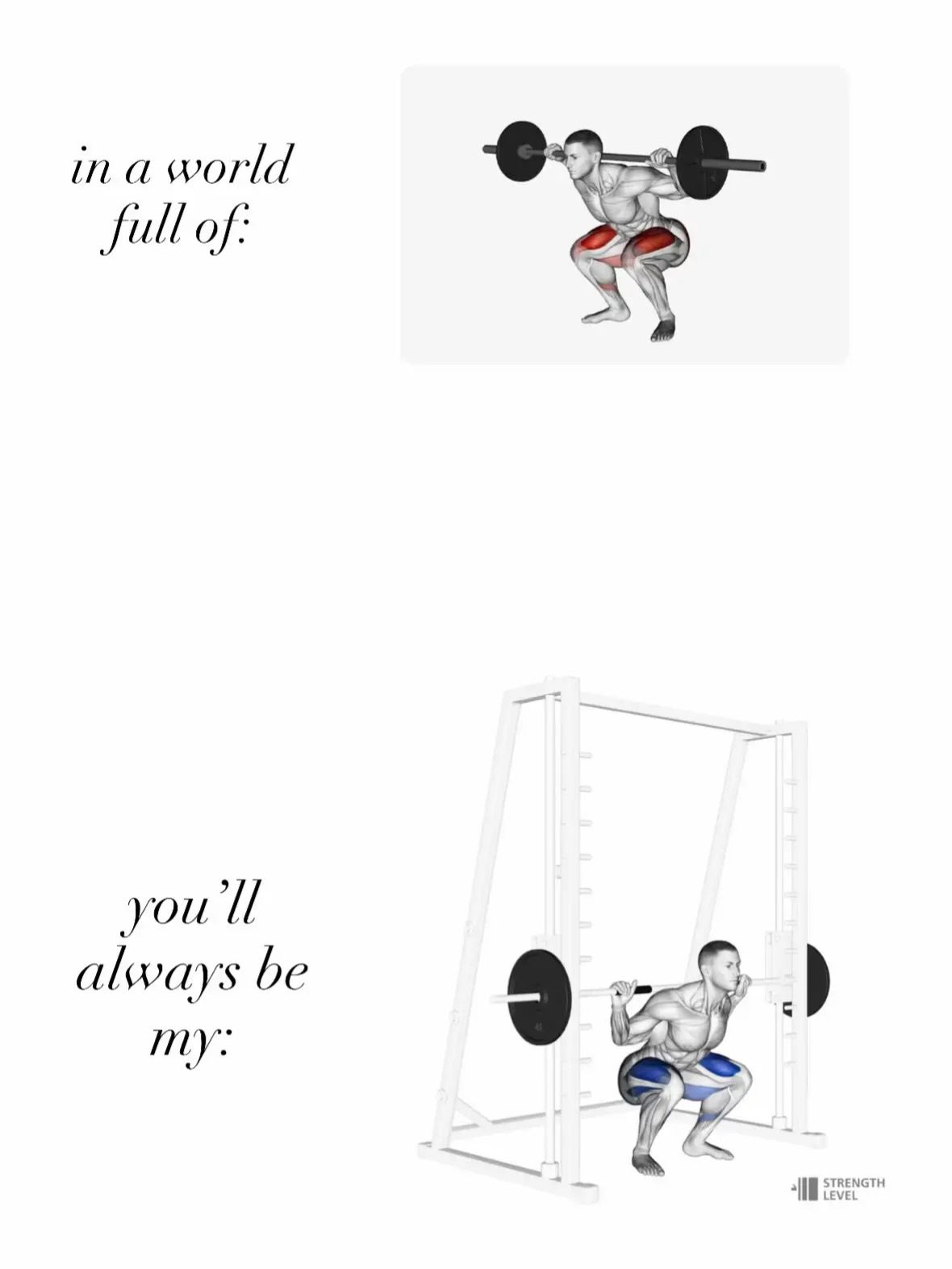 Discover Workit's Visual Dumbbell Workout Guide