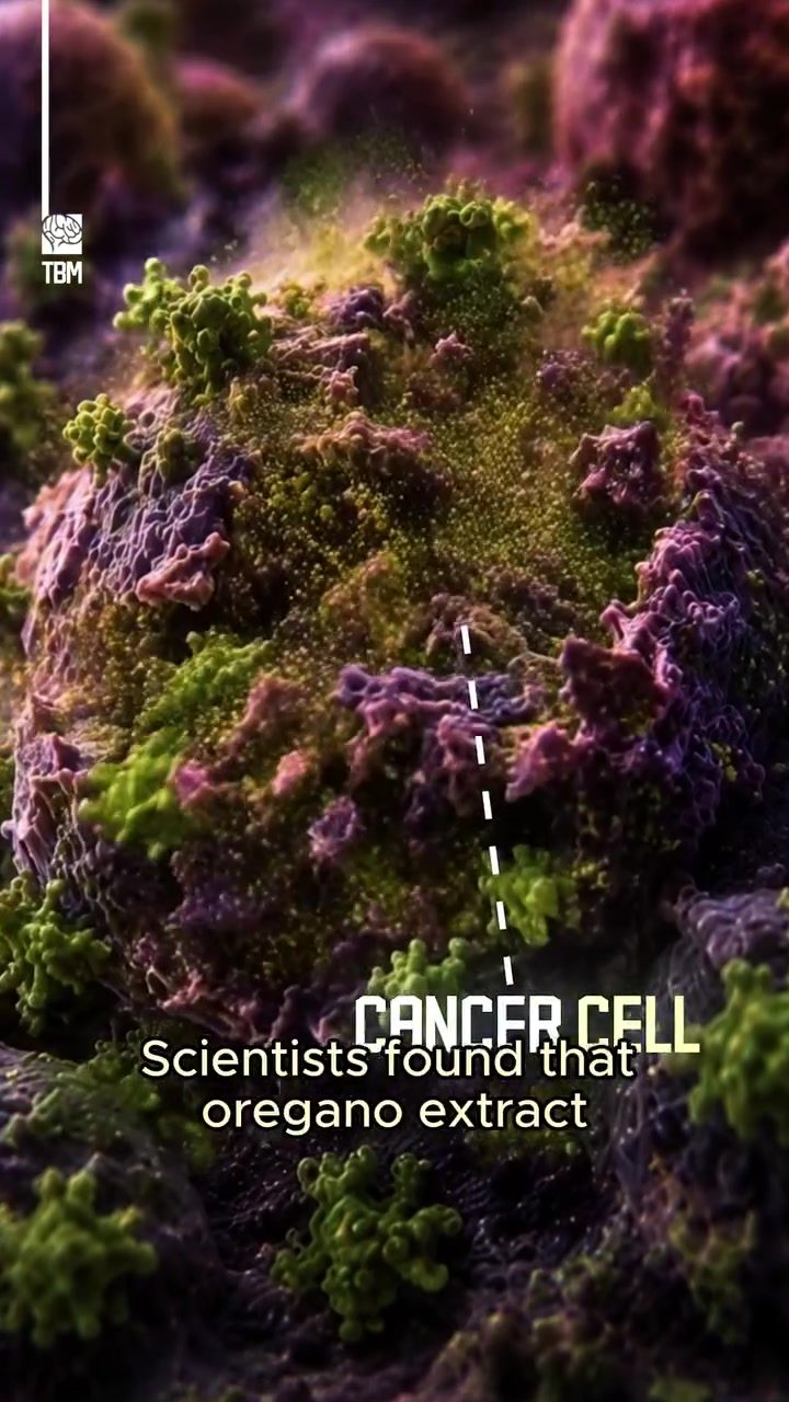 Oregano Extract's Promise in Cancer Cell Research