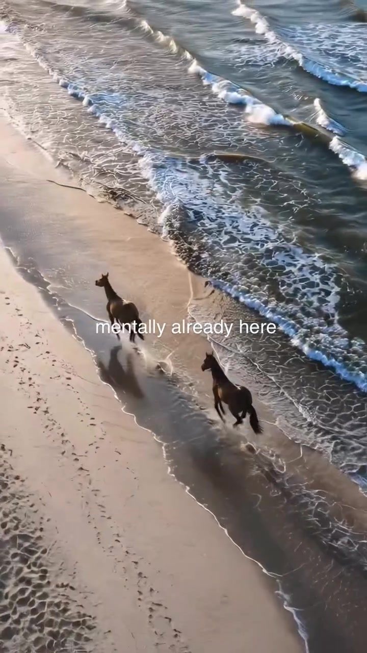 Horses Running Wild on the Beach