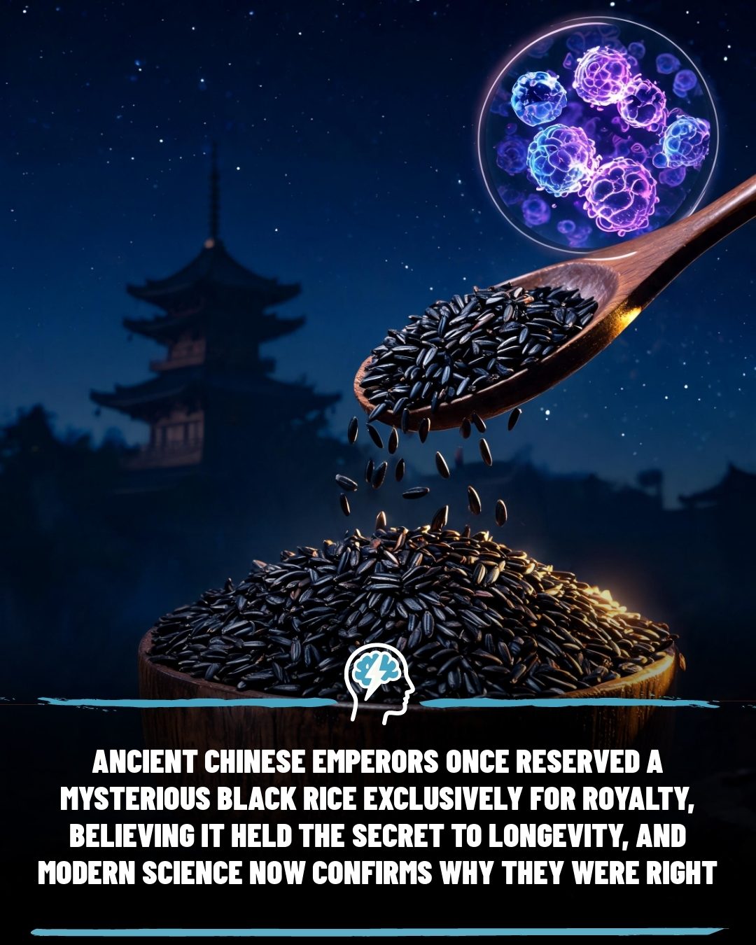 Black Rice: Ancient Royalty Favourite Now Proven Superfood