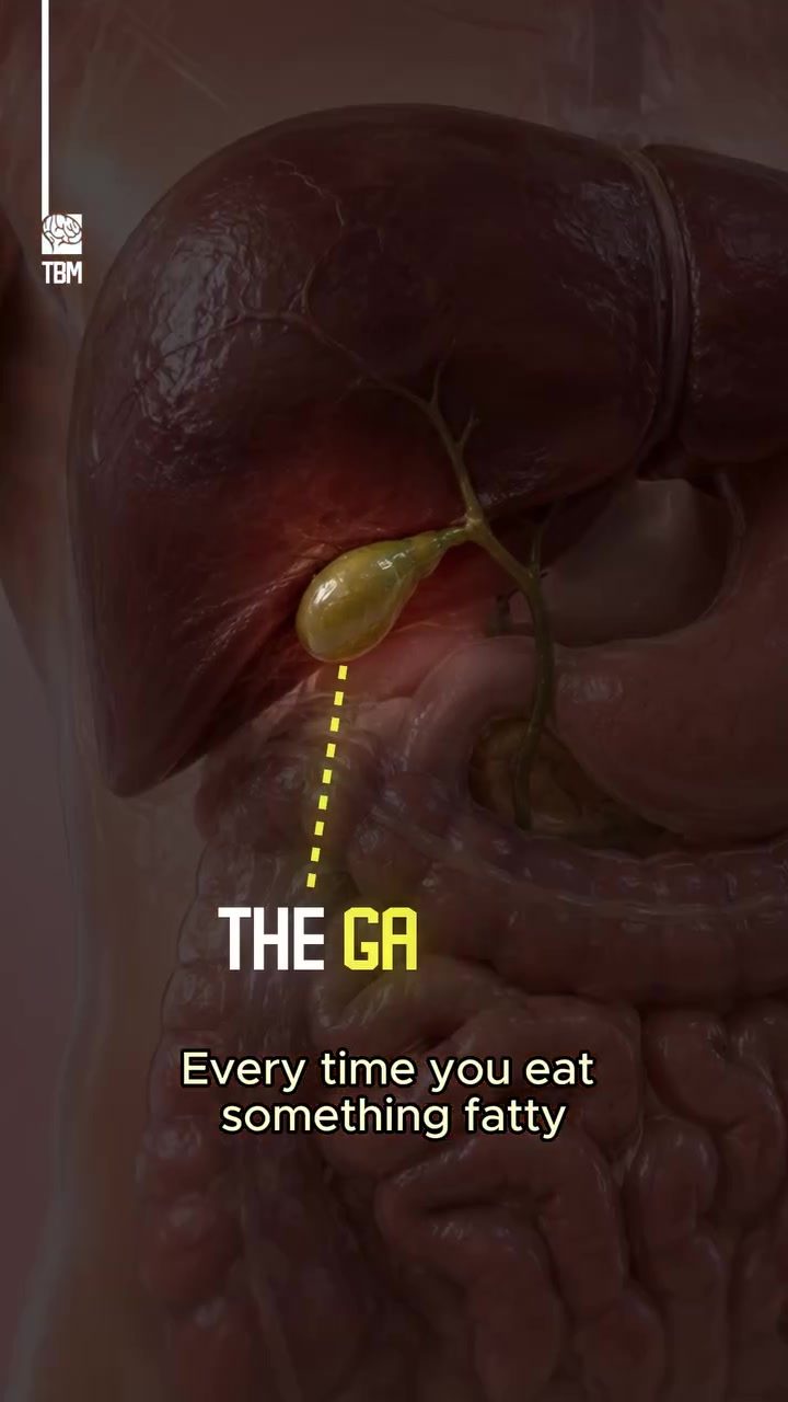 Understanding the Gallbladder's Role in Fat Digestion