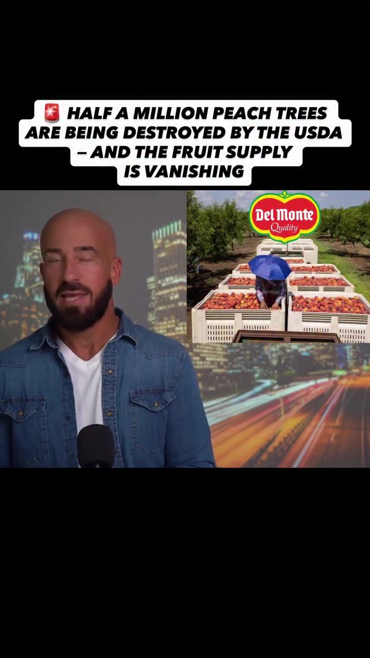 Del Monte Bankruptcy: Half a Million Peach Trees Razed
