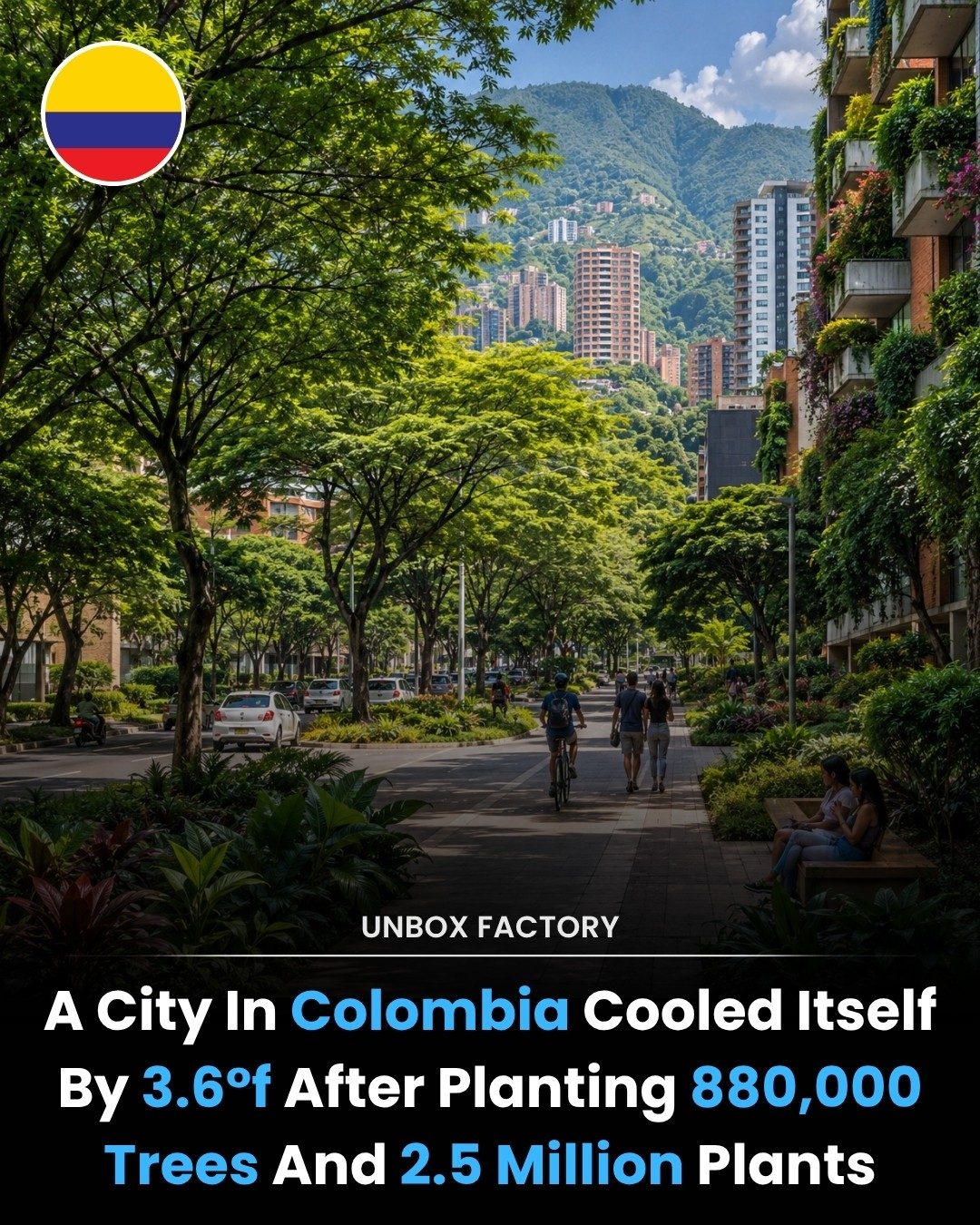Medellín's Green Corridors: How Urban Reforestation Cooled the City