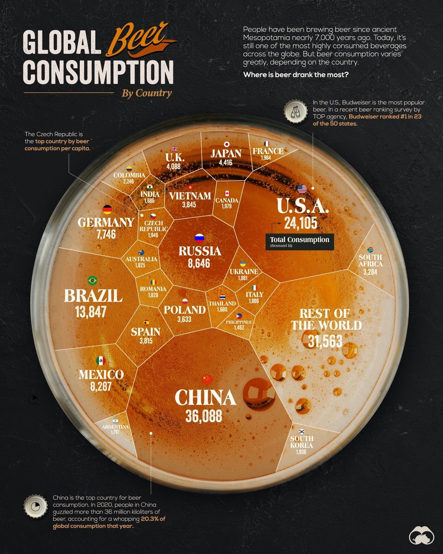 Top Countries for Beer Consumption in 2020