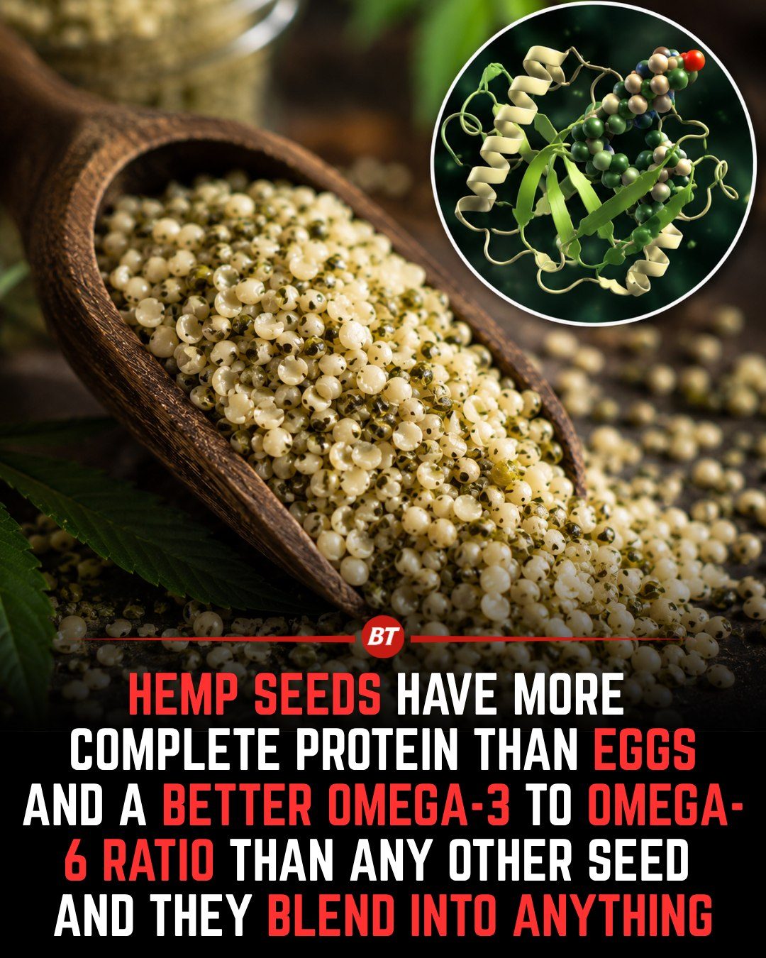 Hemp Seeds: Your Complete Plant Protein Source