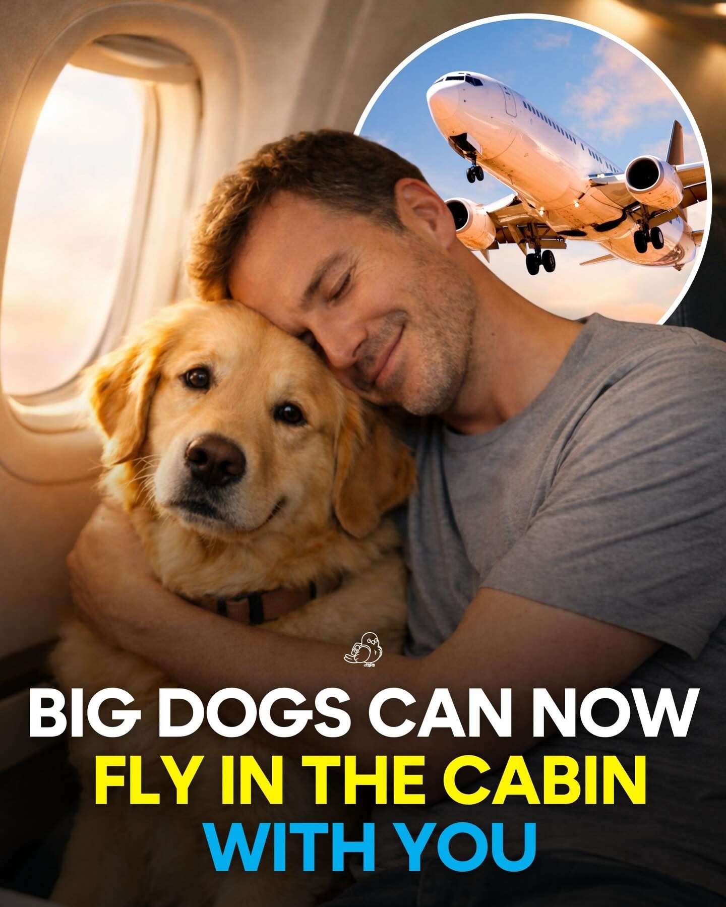 Big Dogs Now Allowed in Cabin on Selected Airlines
