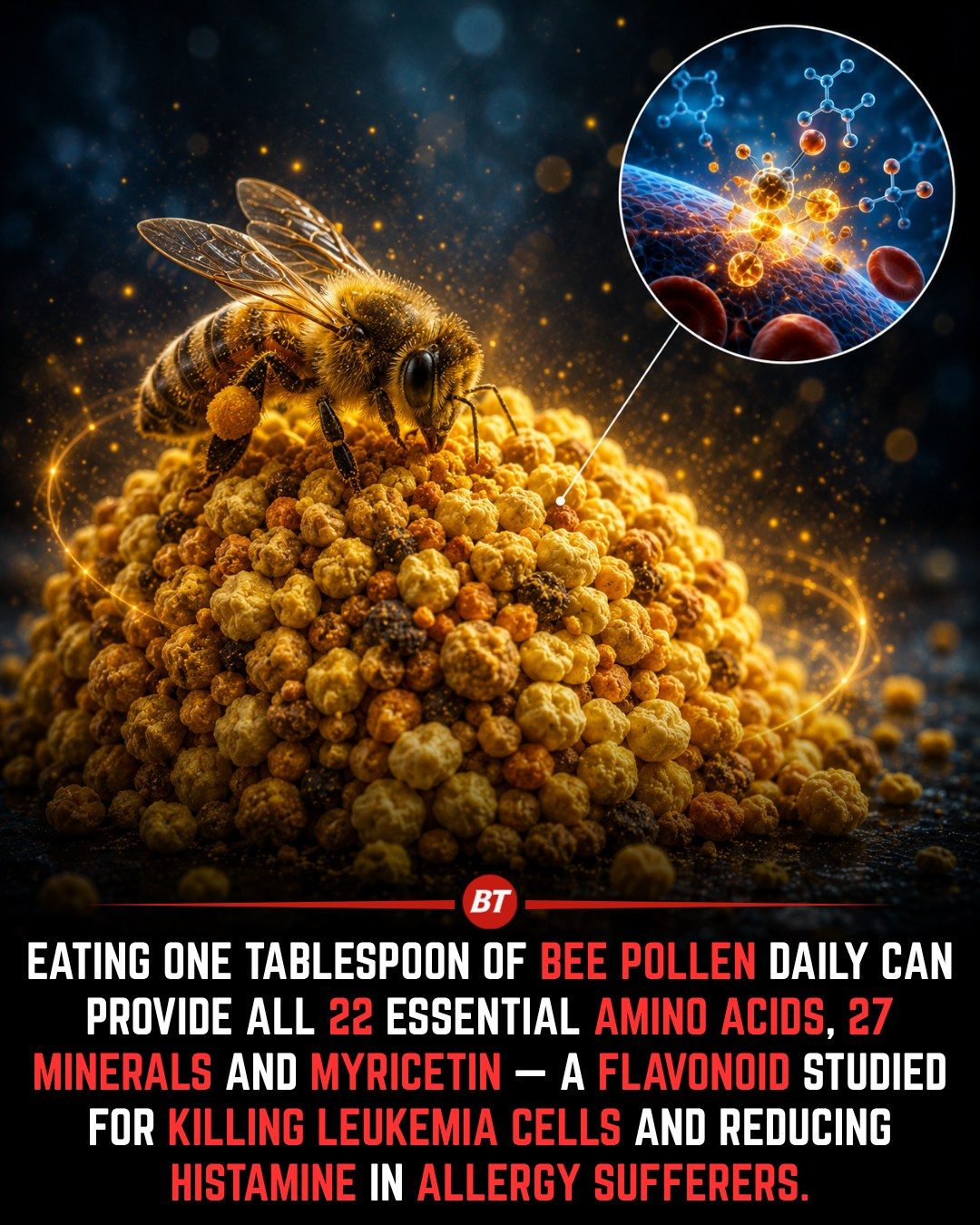 Bee Pollen: Daily Benefits of 22 Essential Amino Acids
