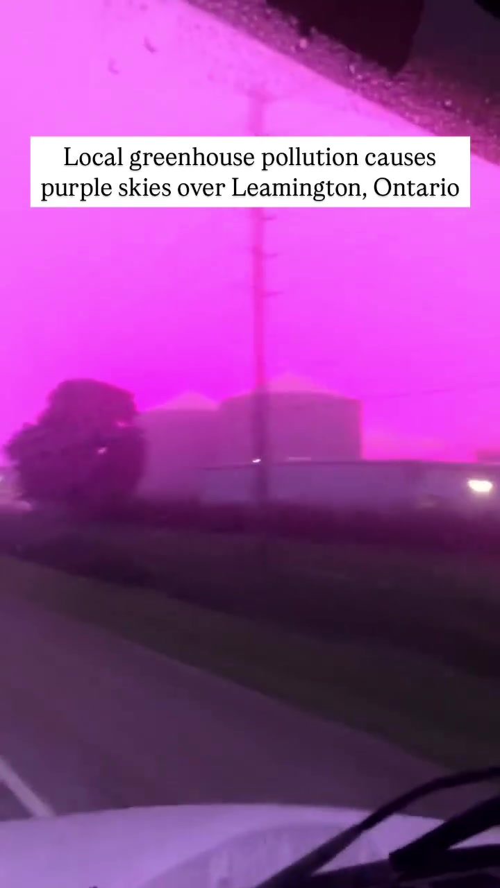 Pollution Creates Purple Skies in Leamington