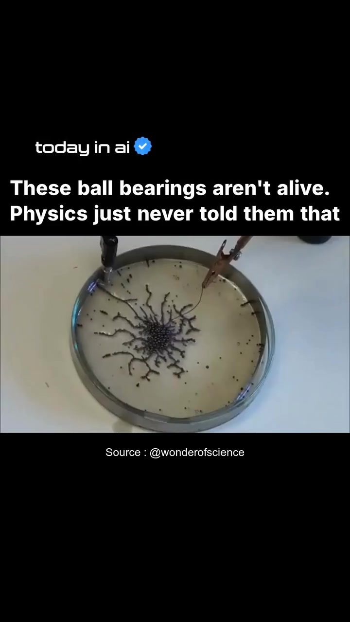 Ball Bearings' Electric Field Self-Organization: Physics in Action