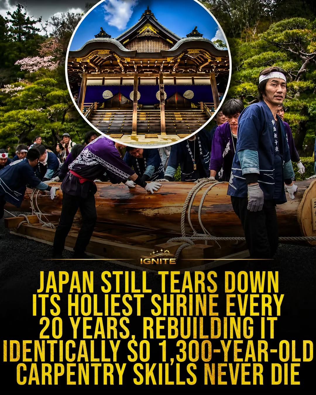The 20-Year Tradition of Japanese Shrine Rebuilding