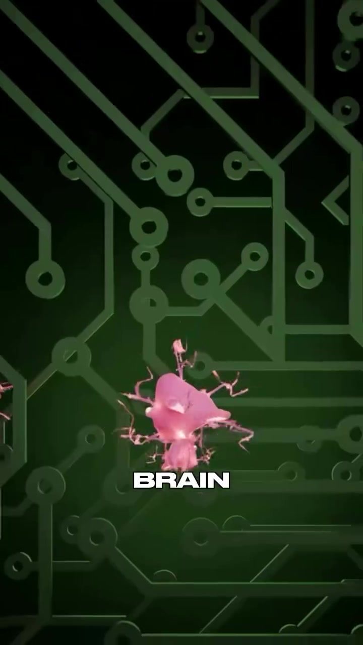 **Brain Cells Learn to Play Pong on a Tiny Chip**