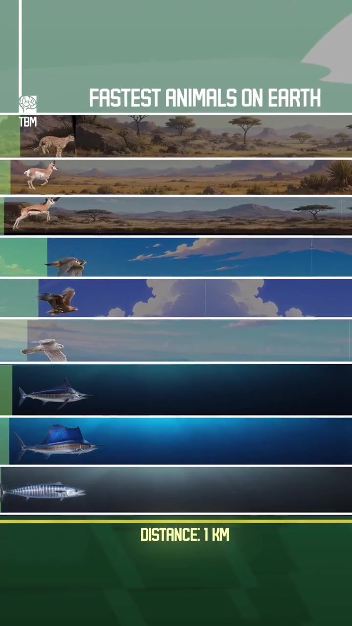 Top Speed: Earth's Fastest Animals Compared