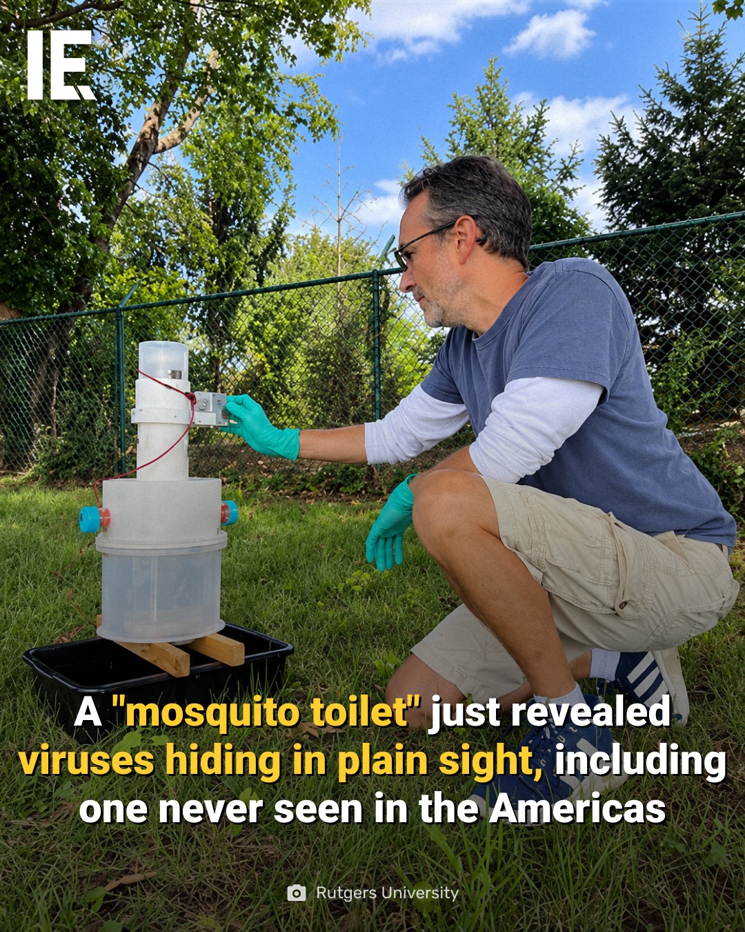 Mosquito Toilet Device: Rutgers University Virus Discovery