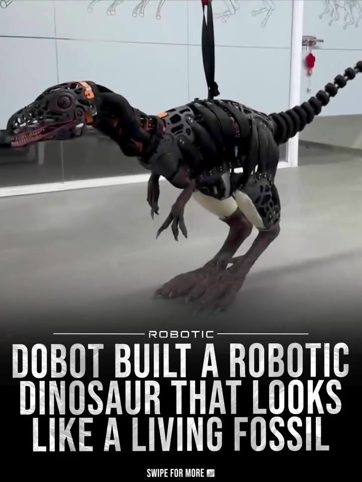 DOBOT's Biomimetic Robot: Bringing Dinosaurs to Life