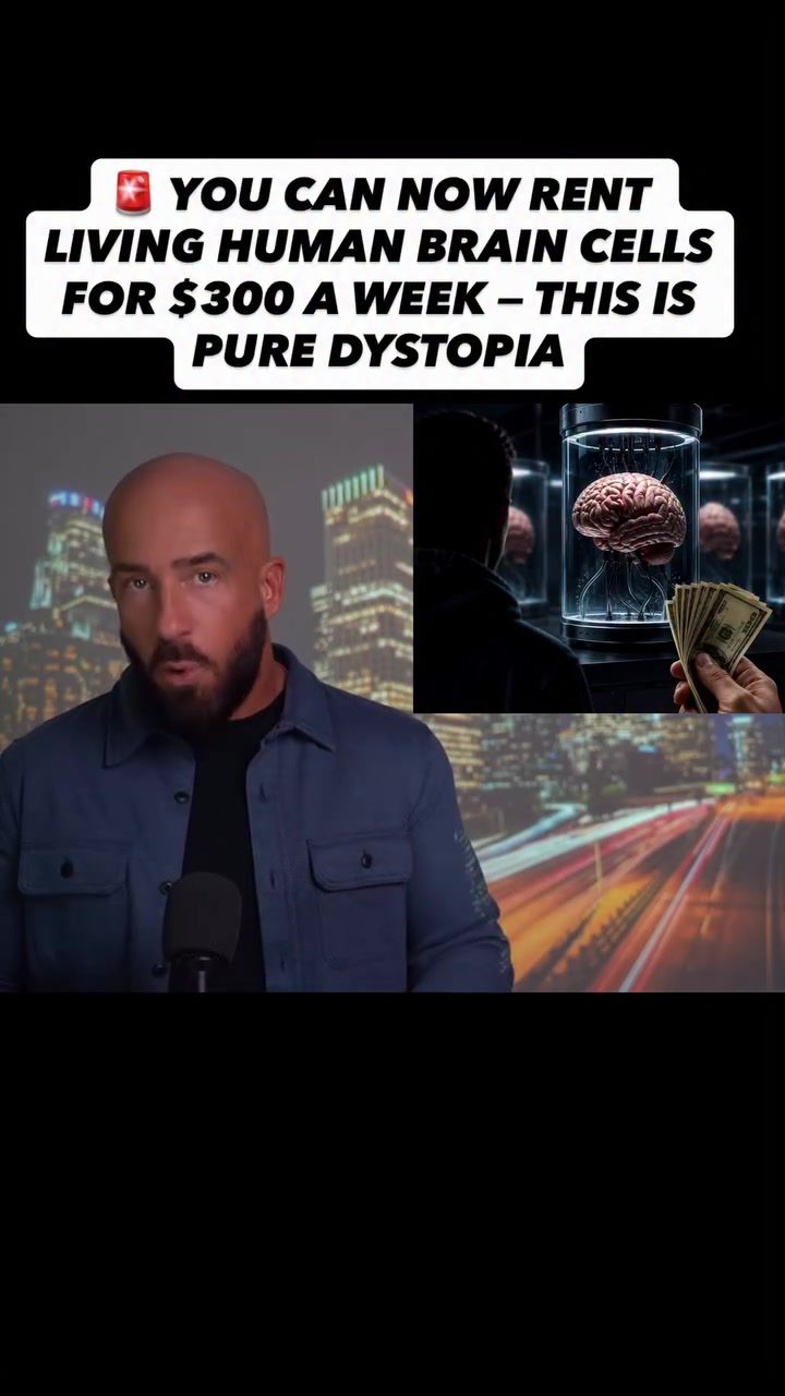 Cortical Labs: Rent Living Brain Cells for Computing