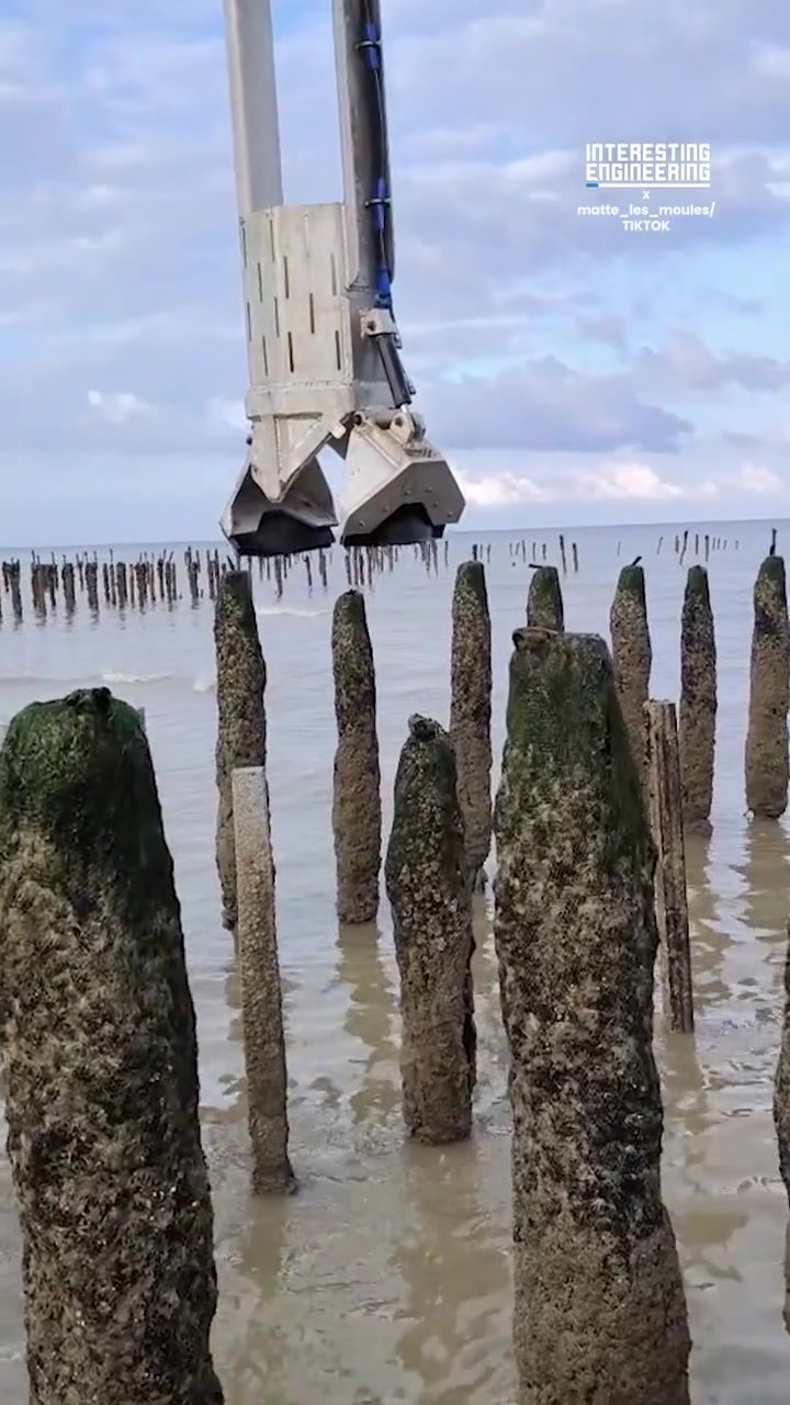 Harvesting Mussels Efficiently: The Mussel Harvesting Machine