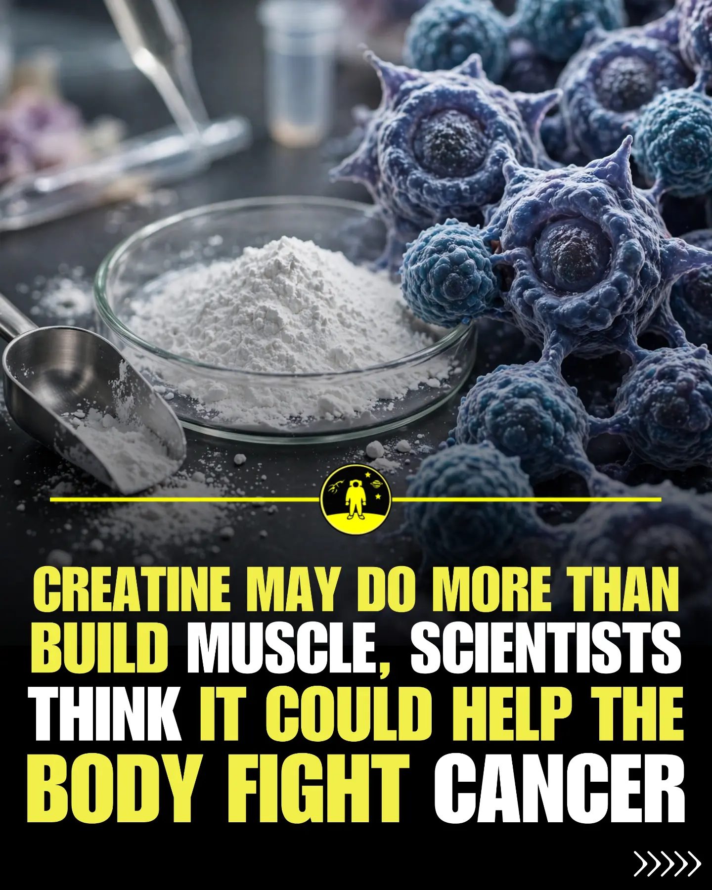 Creatine's Potential in Cancer Immune Response