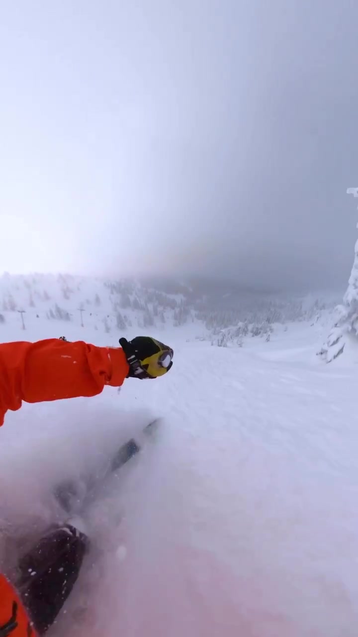 Skiing in Heavy Snowfall: First-Person View