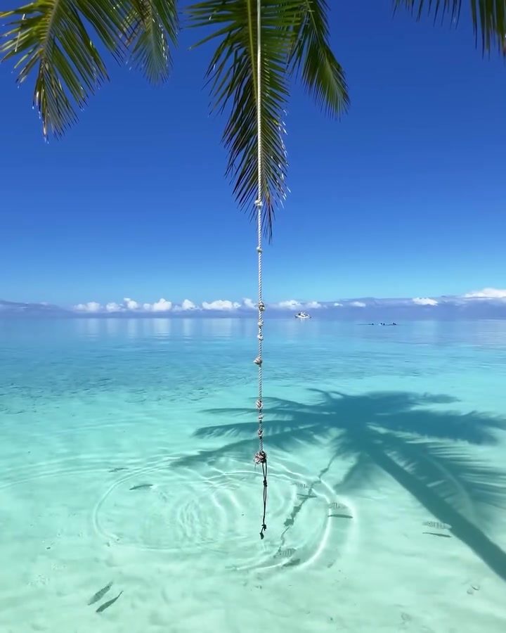 Explore Fakarava Atoll's Pristine Beaches and Vibrant Coral Reefs