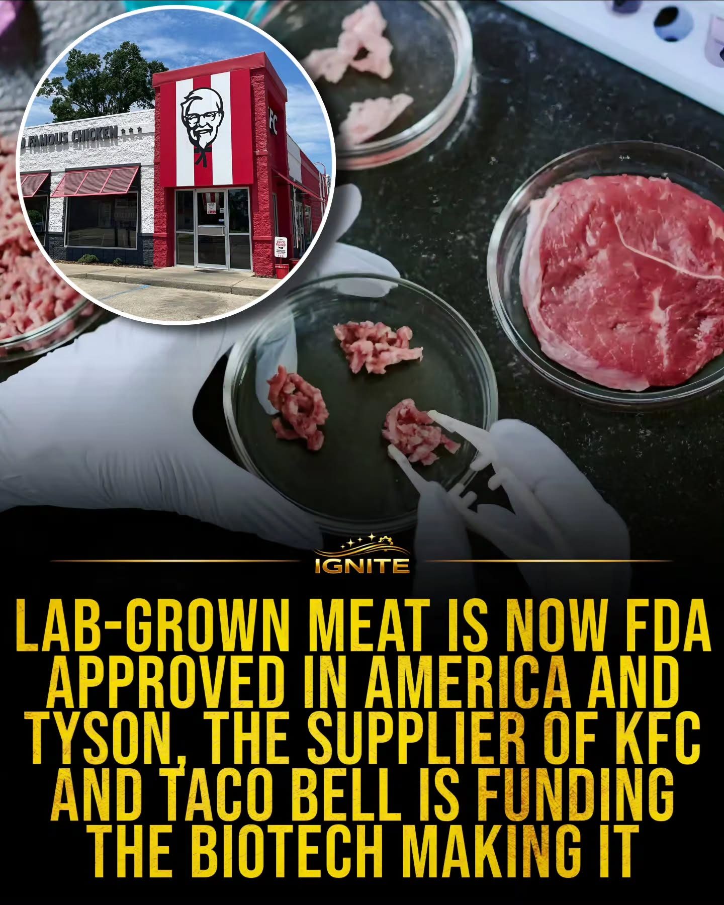KFC's Foray into Lab-Grown Meat: FDA Approval and Tyson's Role