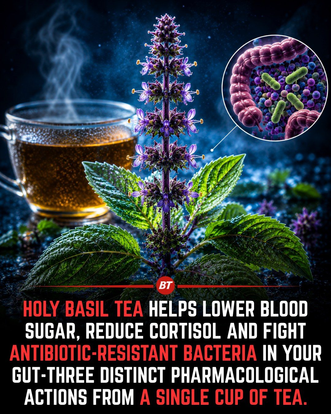 The Many Benefits of Holy Basil Tea
