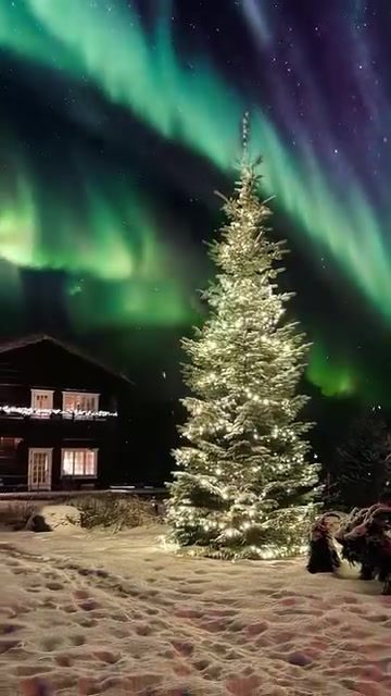 Exclusive Winter Cabin Getaway: Escape to Nature