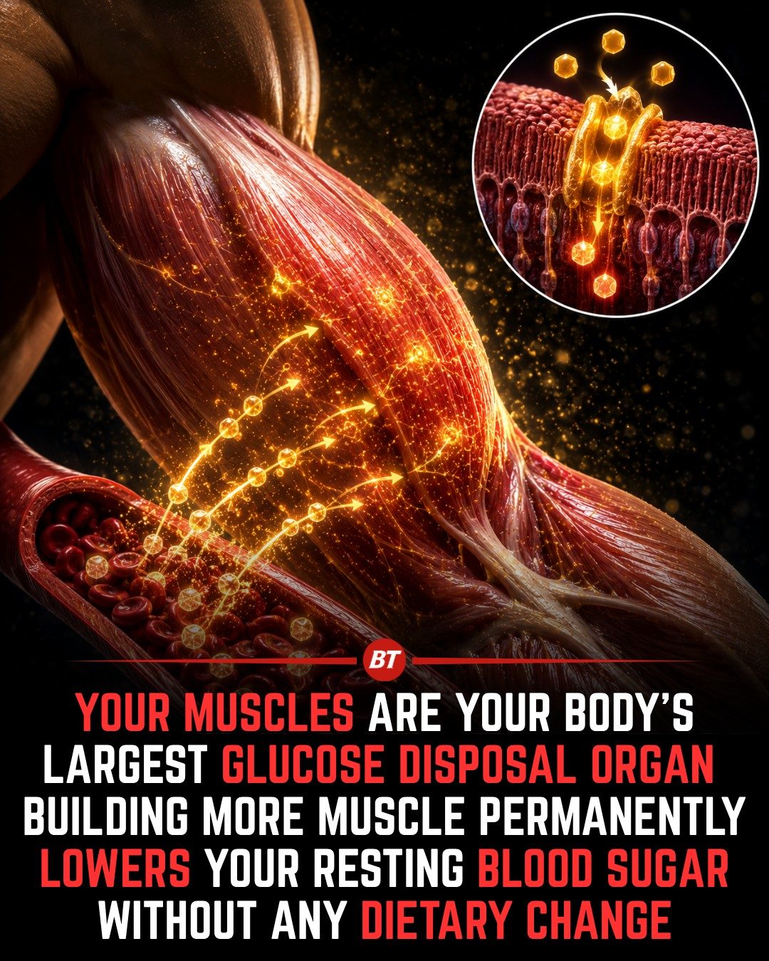 How Strength Training Improves Blood Sugar Control
