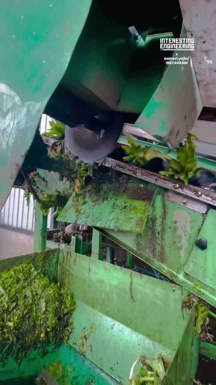 How Agricultural Machinery Transforms Radishes from Farm to Shelf