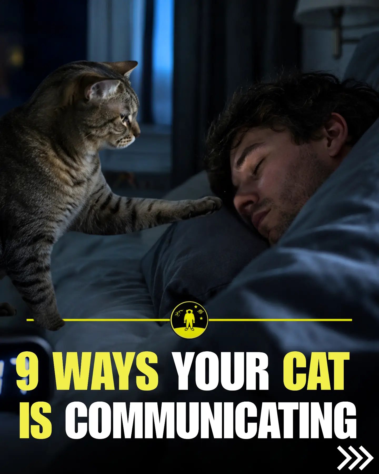 Understanding 9 Ways Cats Communicate Through Body Language