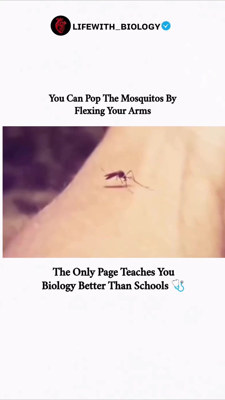 Mosquito Popping Trick: Flexing Arms to Disrupt Feeding