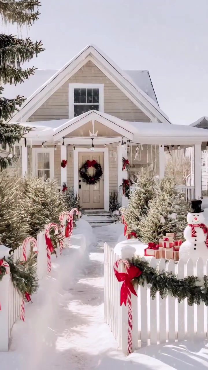 Christmas Magic Captured in Cozy and Festive Scenes