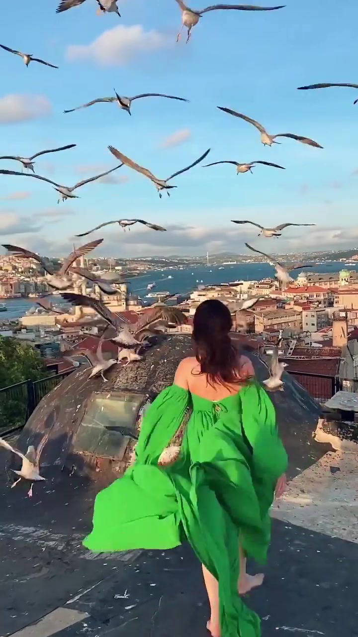 Woman Dancing with Seagulls on Rooftop