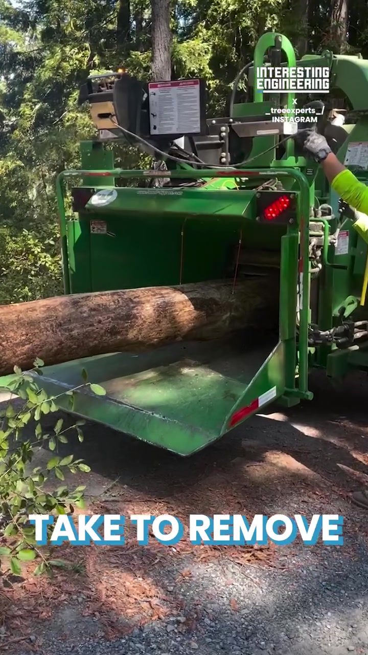 Tree Chippers: Clearing Forest Floors Efficiently