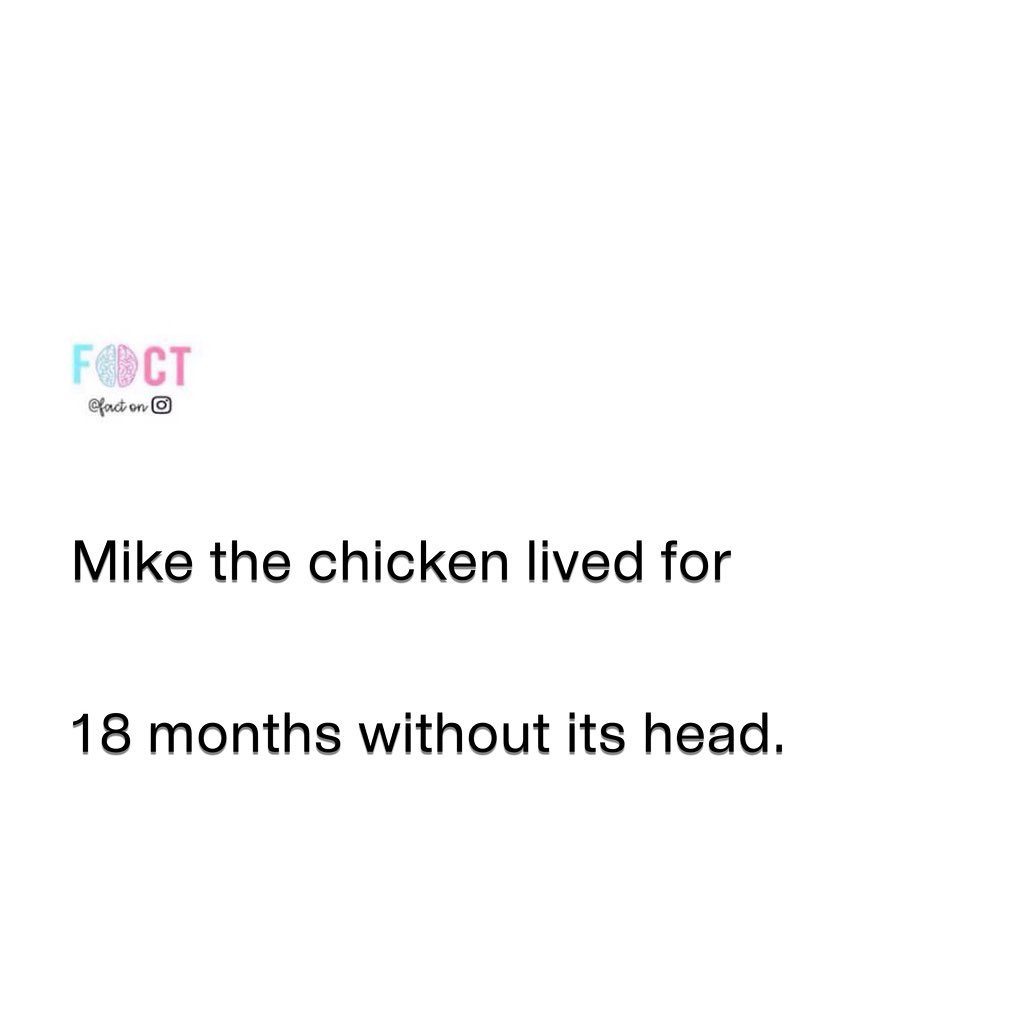 Incredible Tale of Mike the Headless Chicken: Survival for 18 Months