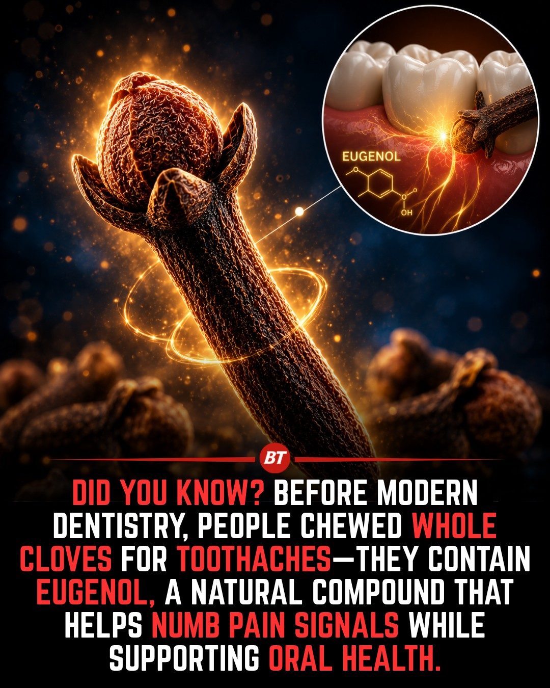 Cloves: The Traditional Toothache Remedy with Modern Support