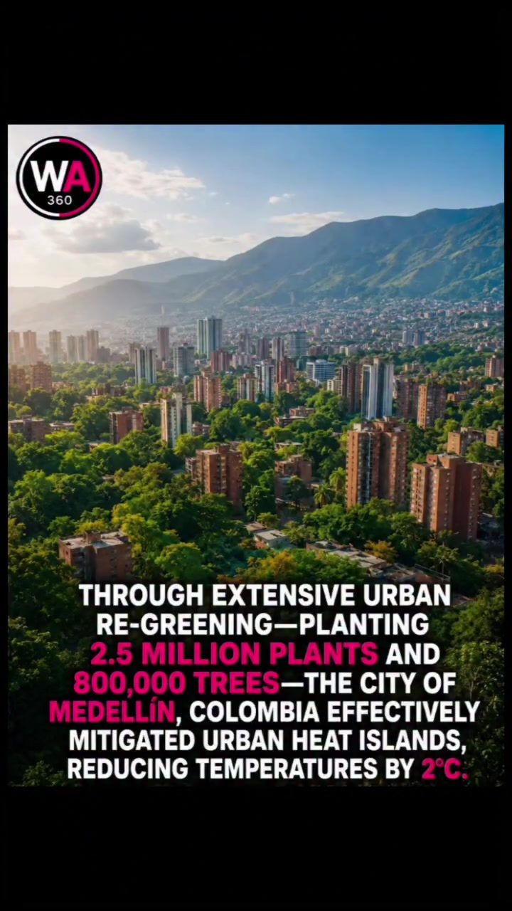 Medellín's Urban Greening Success: Cooling the City by 2°C