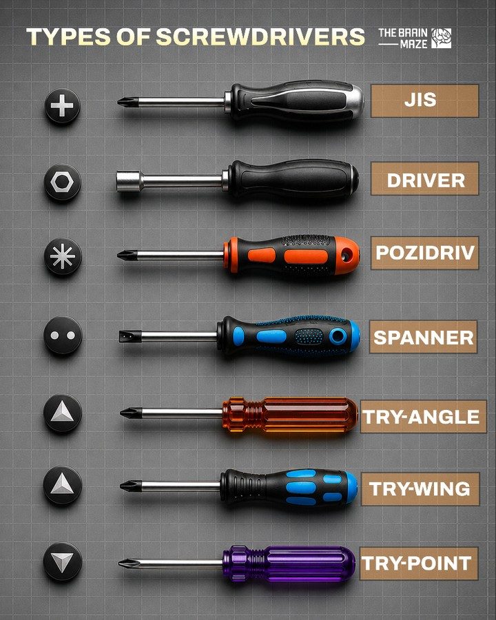 Understanding Various Screwdriver Types for Better Repairs